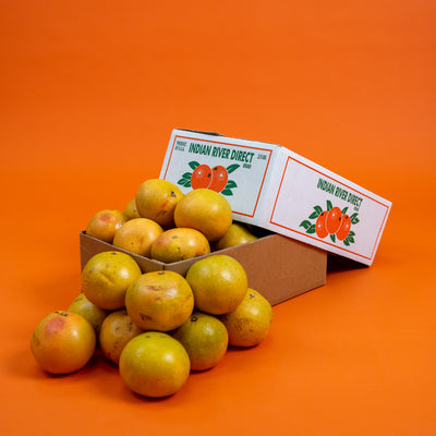 Schedule – Indian River Direct Fruit Truck